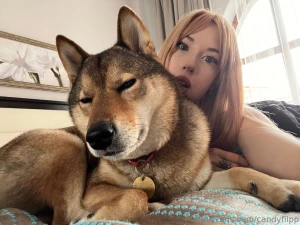 A dog is not just a pet it is a part of the family that brings joy and