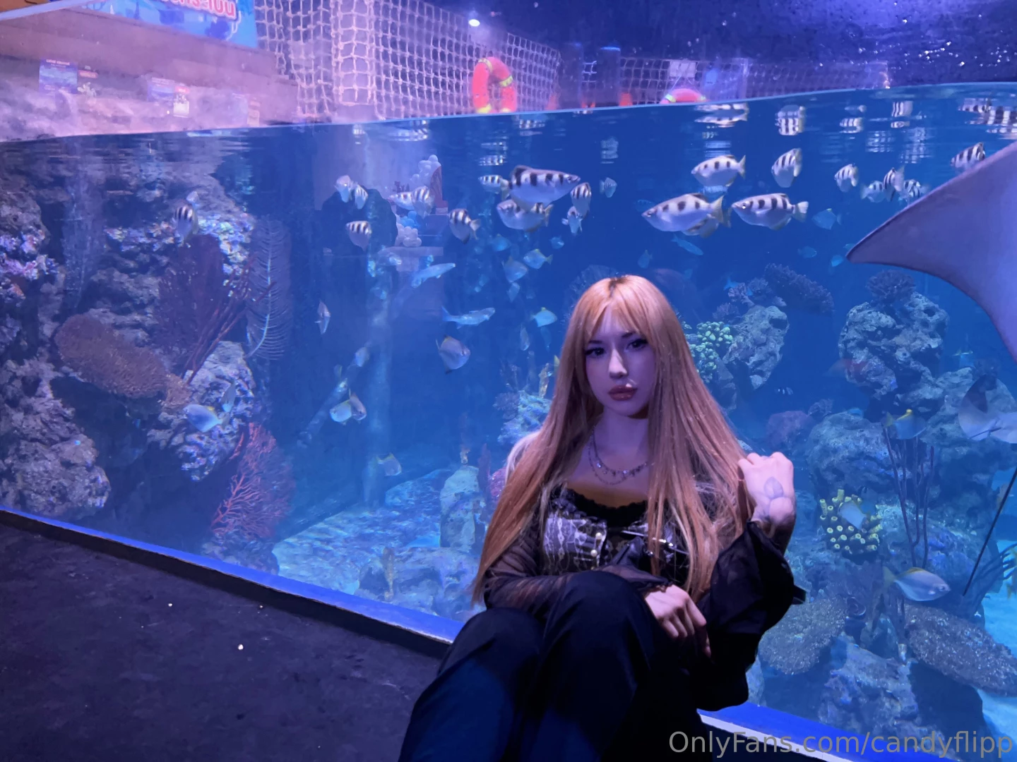 Every day is an opportunity to fill your life with bright emotions and 