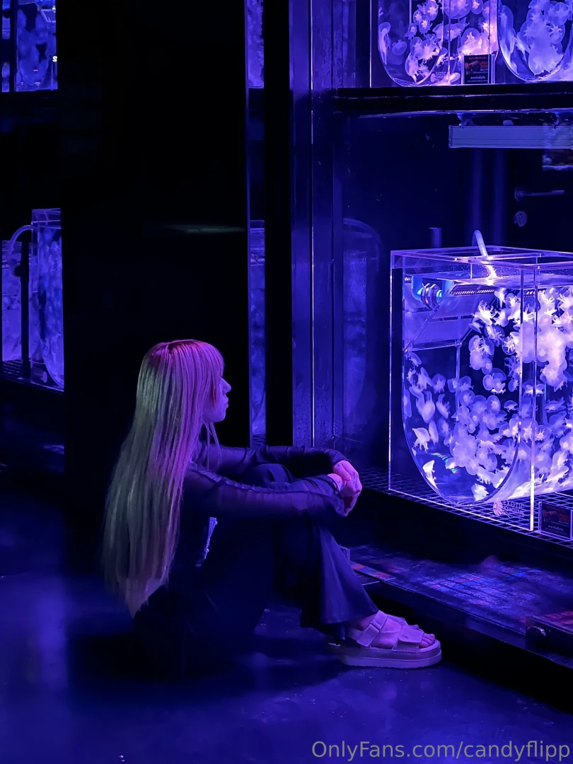 I love visiting such cozy places like zoo corners every time here you 