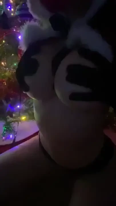 There s a longer clip of this in your dms for my 2nd day of kristmas 