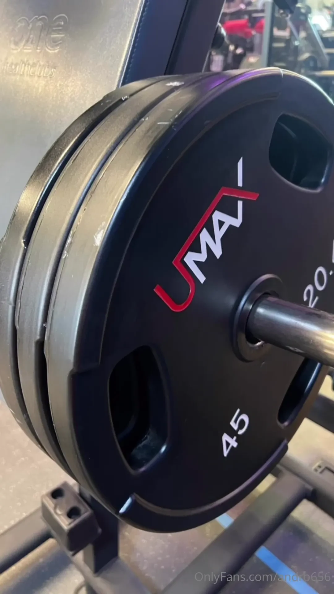 Halo all so that is day 4 complete how was this legday well there was 