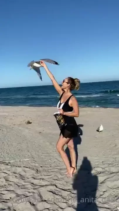 Look how cool is this the bird ate out of my hand went to the beach 