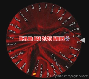 2025 spin the wheel special i m so excited to show you fresh new