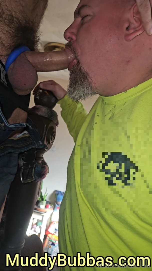 Sneak peek - bearded cub said the stairs are the perfect adjustable 