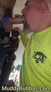 Sneak peek - bearded cub said the stairs are the perfect adjustable