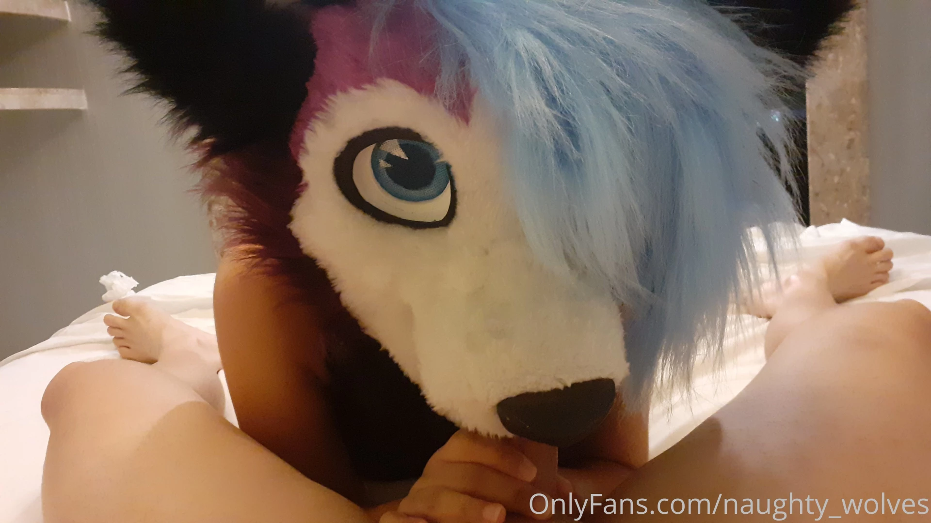 We will this wolf here has to be fed enough u u lucky me i have a 