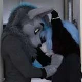 naughty-wolves