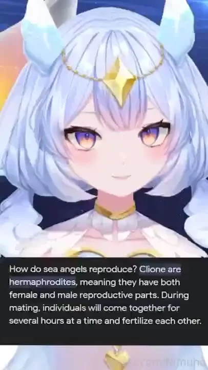 Did you know this about sea angels i really need to get some futa art 