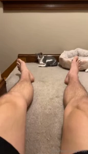 Guys look how cute my cat is