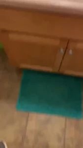 Pt 2 part 217