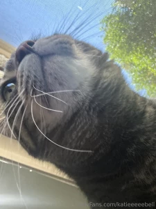 Isn t storm the cutest lt 3