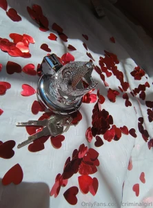 Your little shrimp inside my fish cage the idea tempts you right