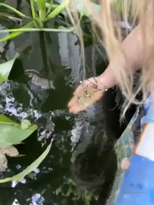 Non nude post of the day we are taking care of fishies in the backyard part 1 