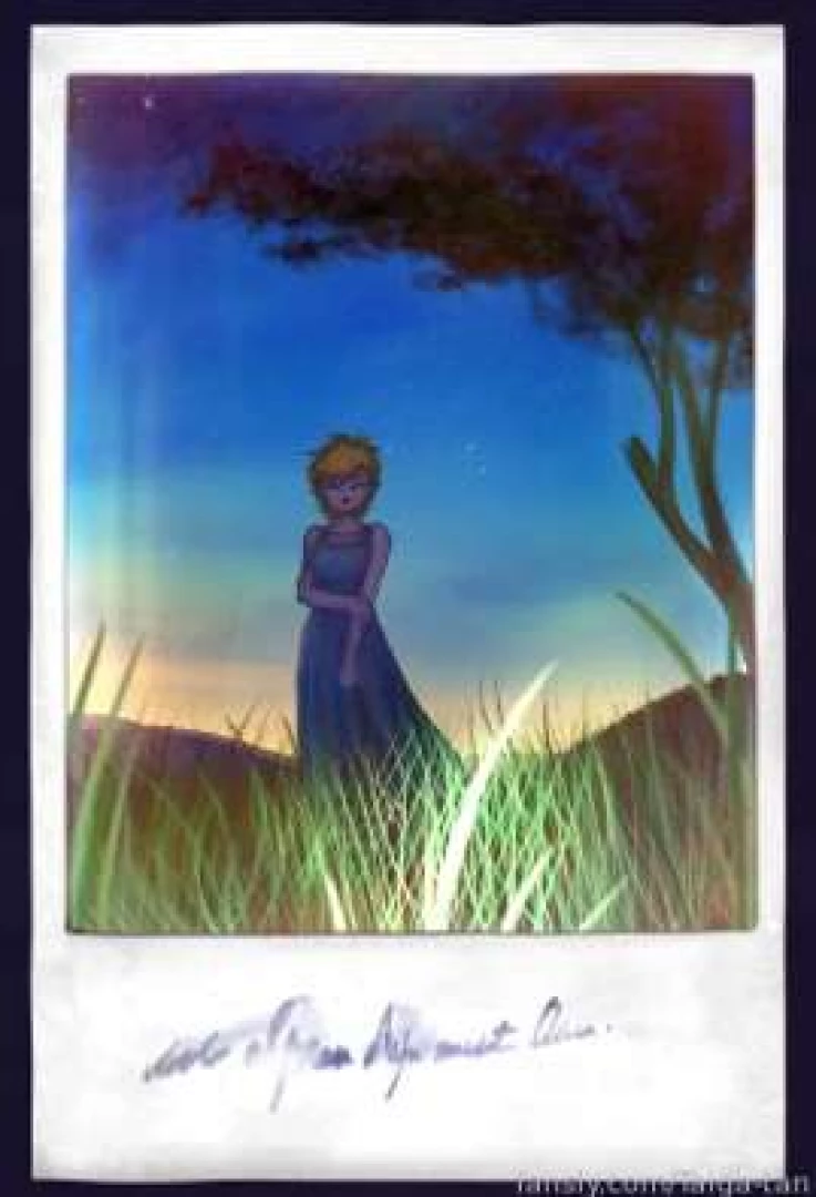 Been getting into photography lately i mean i always was i think but 