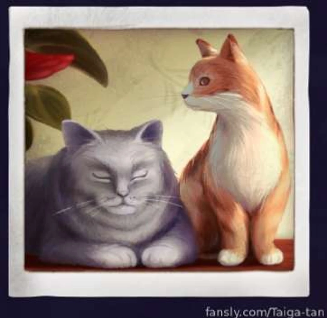 Been getting into photography lately i mean i always was i think but part 1 