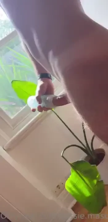 This could be us part 12 