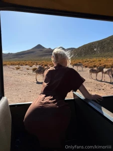 Finally went on a safari seeing wild animals in their natural habitat part 1