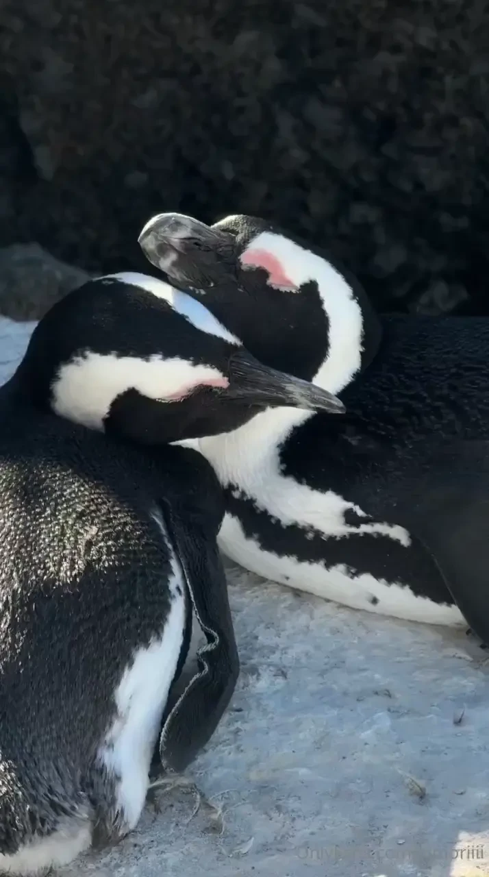 A perfect day for me is having sand under my feet feeling the warm sun part 3 