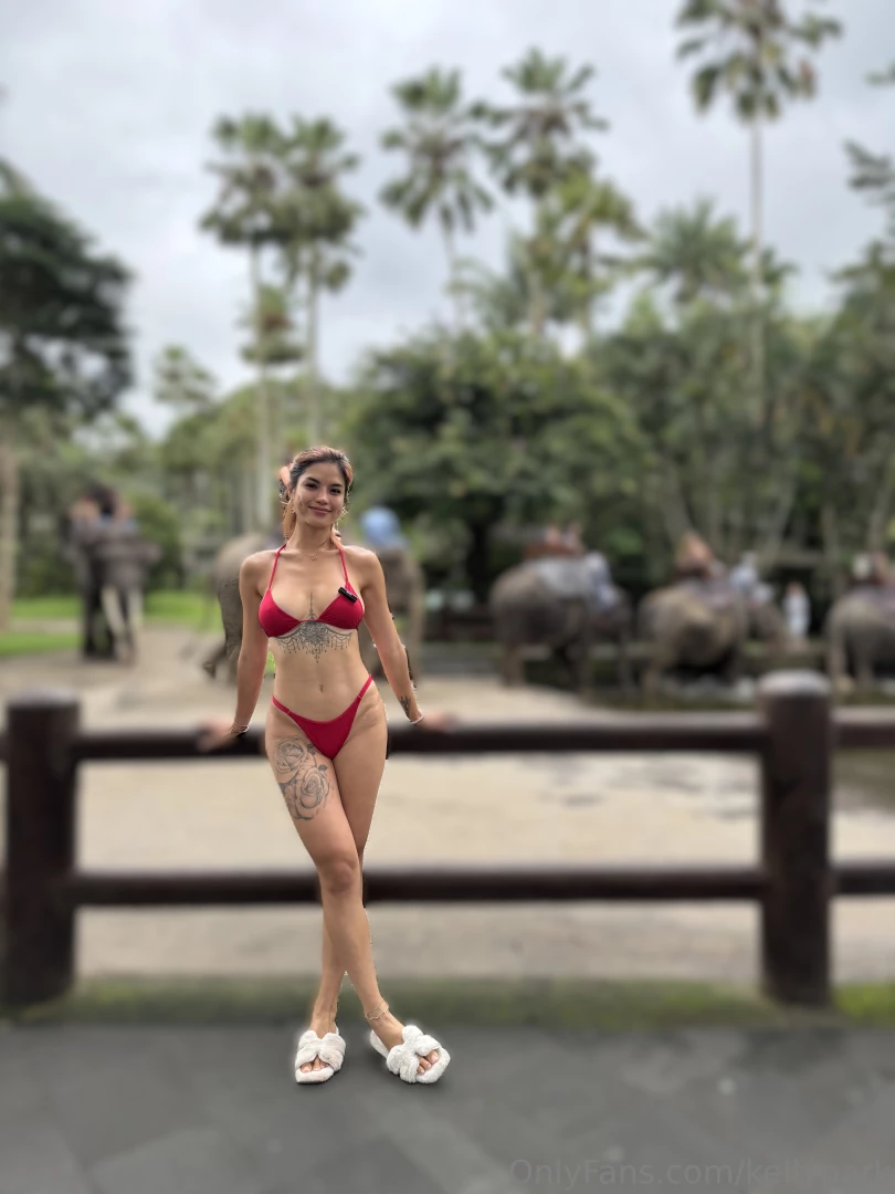 Anyn plans for today 