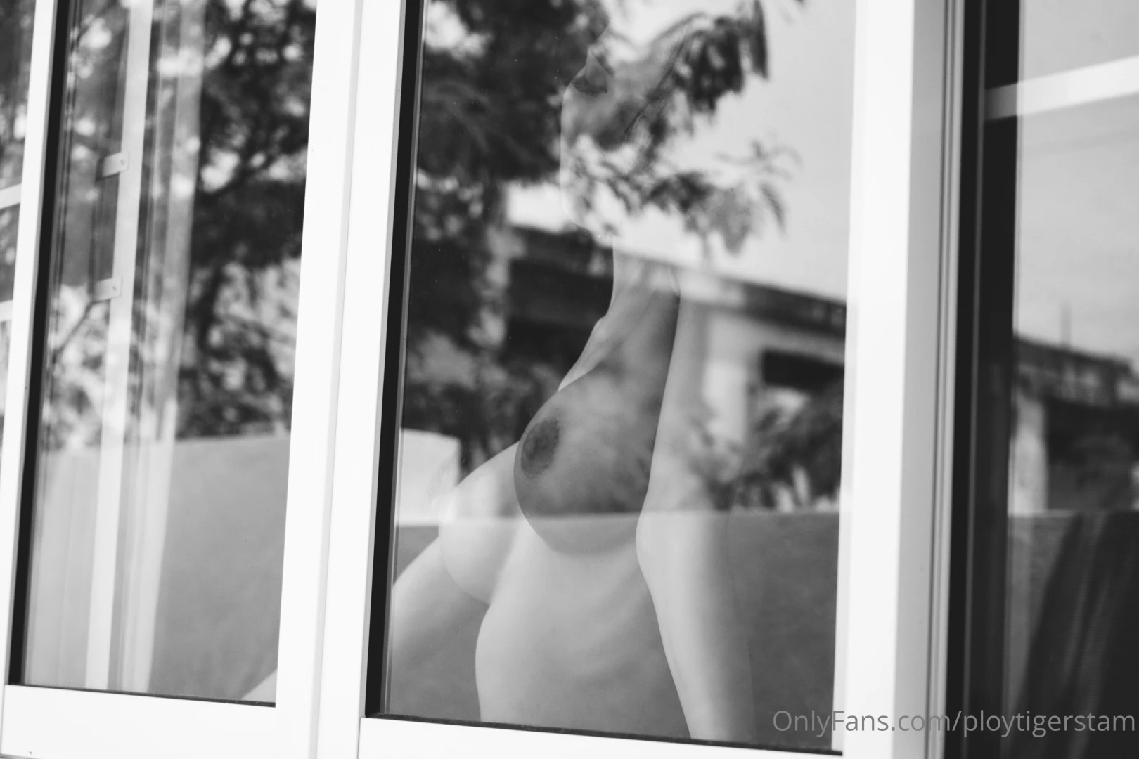 Ploytigerstam part 71 