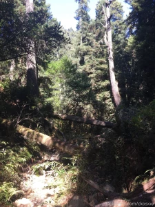 Hiking amp beach master post from my weekend part 2
