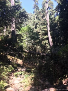 Hiking amp beach master post from my weekend part 3