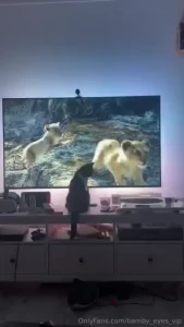 When you always wanted to be a lion