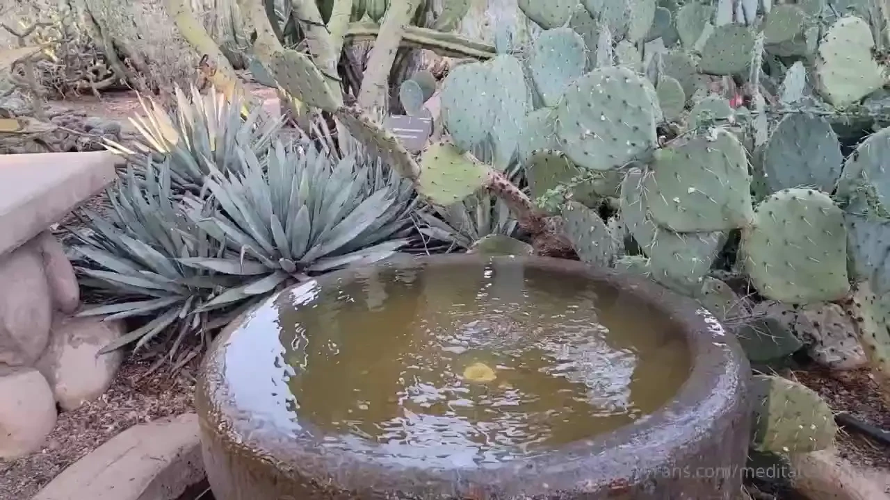 I have learned there are four ways in which we stop enjoying the 