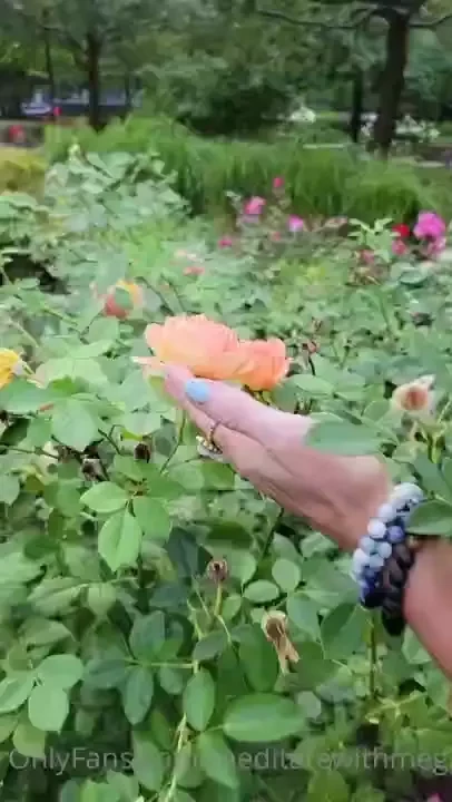 Stop and smell the flowers from time to time it helps bring you back 