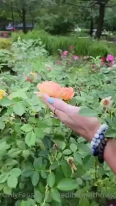 Stop and smell the flowers from time to time it helps bring you back