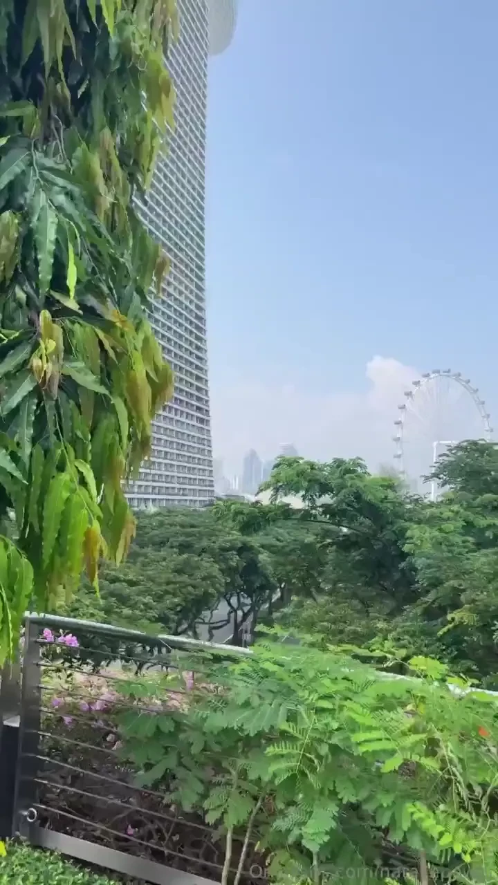 Singapore truly stole my heart the thing i loved the most the perfect 