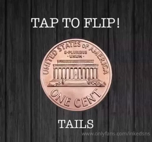 10 coin flip heads - video call or customs vid your choice tails - 20