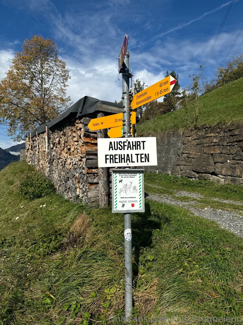 Busychameleon part 7 