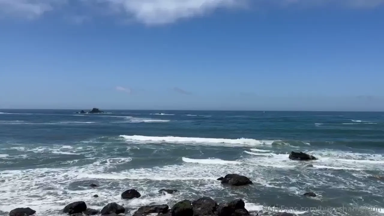 Beautiful northern california beaches just draw you in 