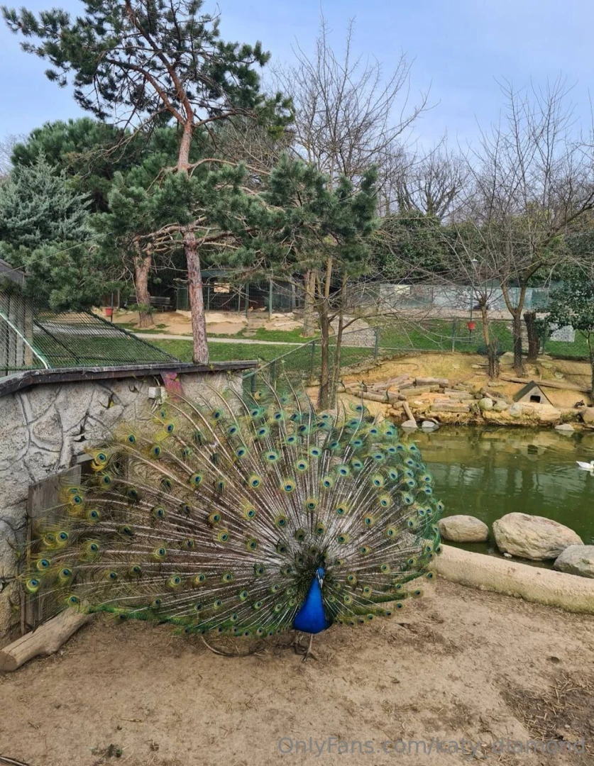 It feels so nice to visit places like the zoo sometimes today was full 