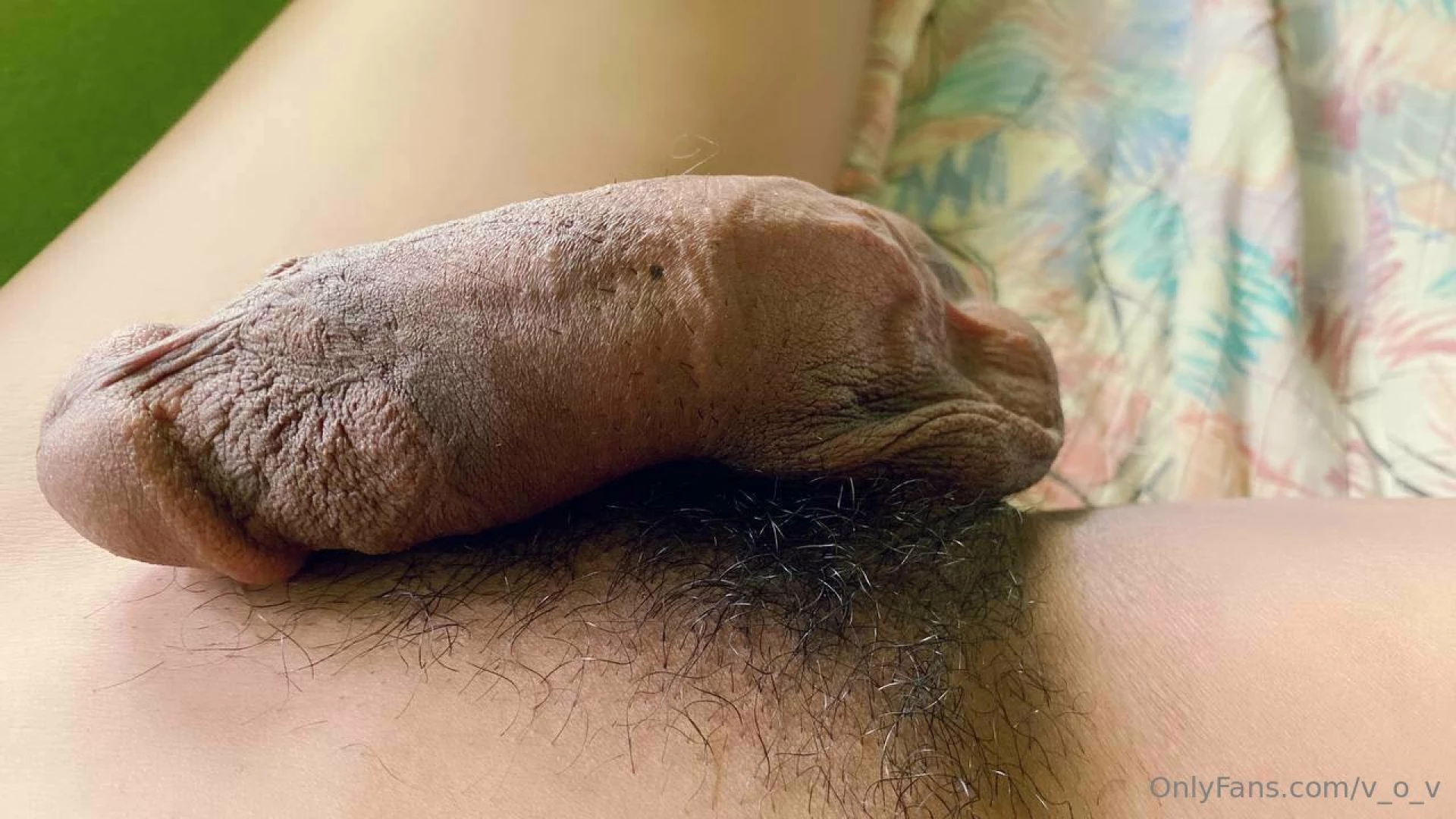 Just pictures of the weiner 