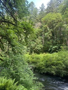 More beautiful pictures of nature part 1