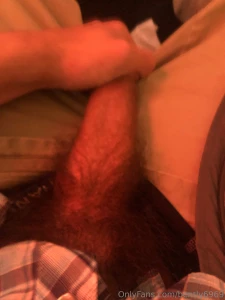Morning wood part 284