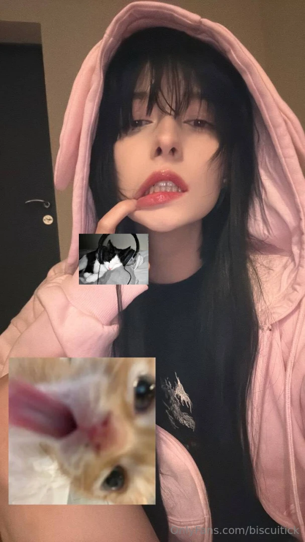 Happy cause of a lot of cats around me 