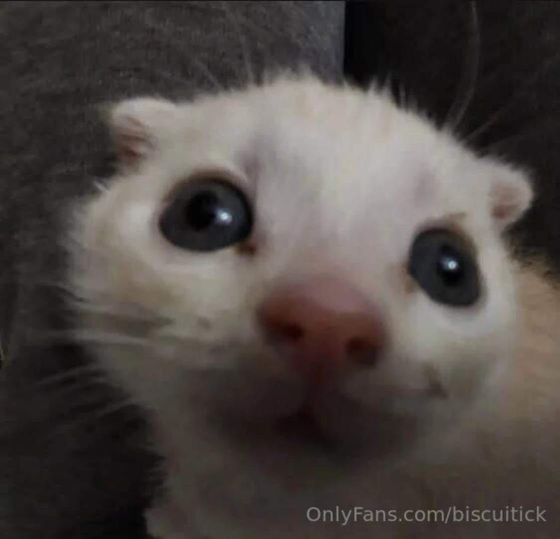 Hello dudes i feel better and my tummy better too so i cut my hair and 