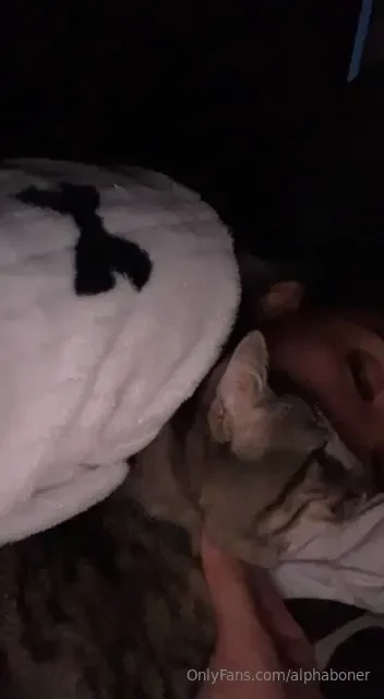 Let s help a shelter hi i m cassie and i always try to help those who 