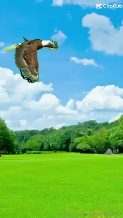 I got bored while recovering after my surgery which so far i ve been part 2 