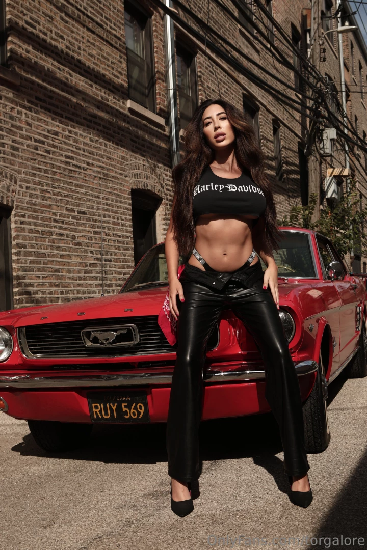 I ll take you on a wild ride 