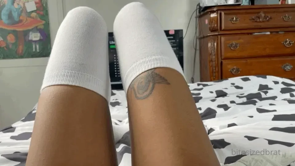 A brat s eye-view gmorning how are you all spending your morning i ll 