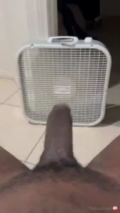 Check out therealk j he has content with all types of girls i ve never part 1