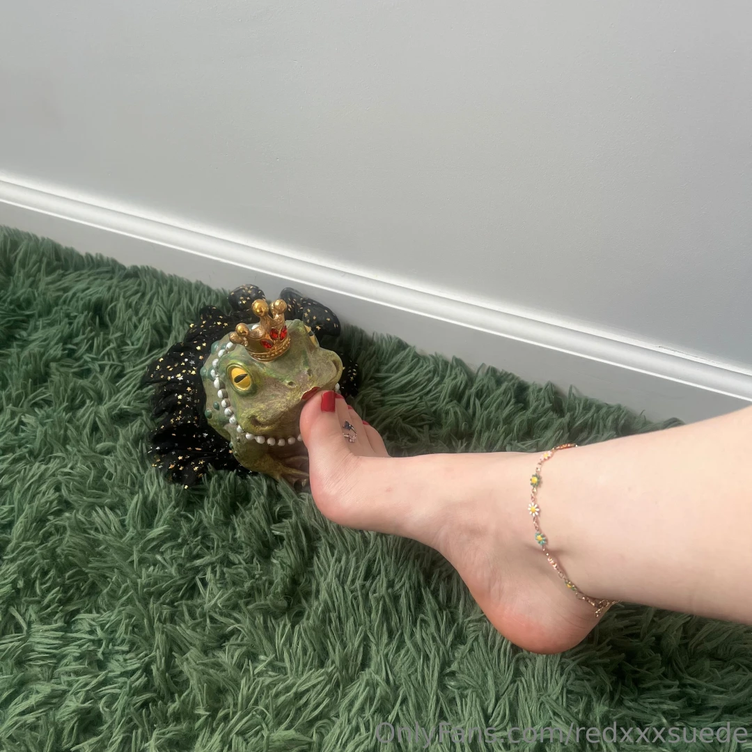 I ve heard if you kiss a frog you ll find your prince but what if a 