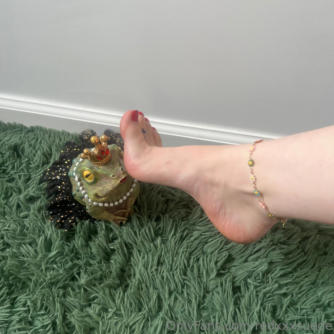 I ve heard if you kiss a frog you ll find your prince but what if a part 1 