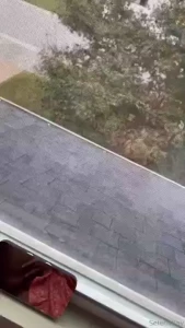 My step dads neighbors love me i love risky behavior can you tell