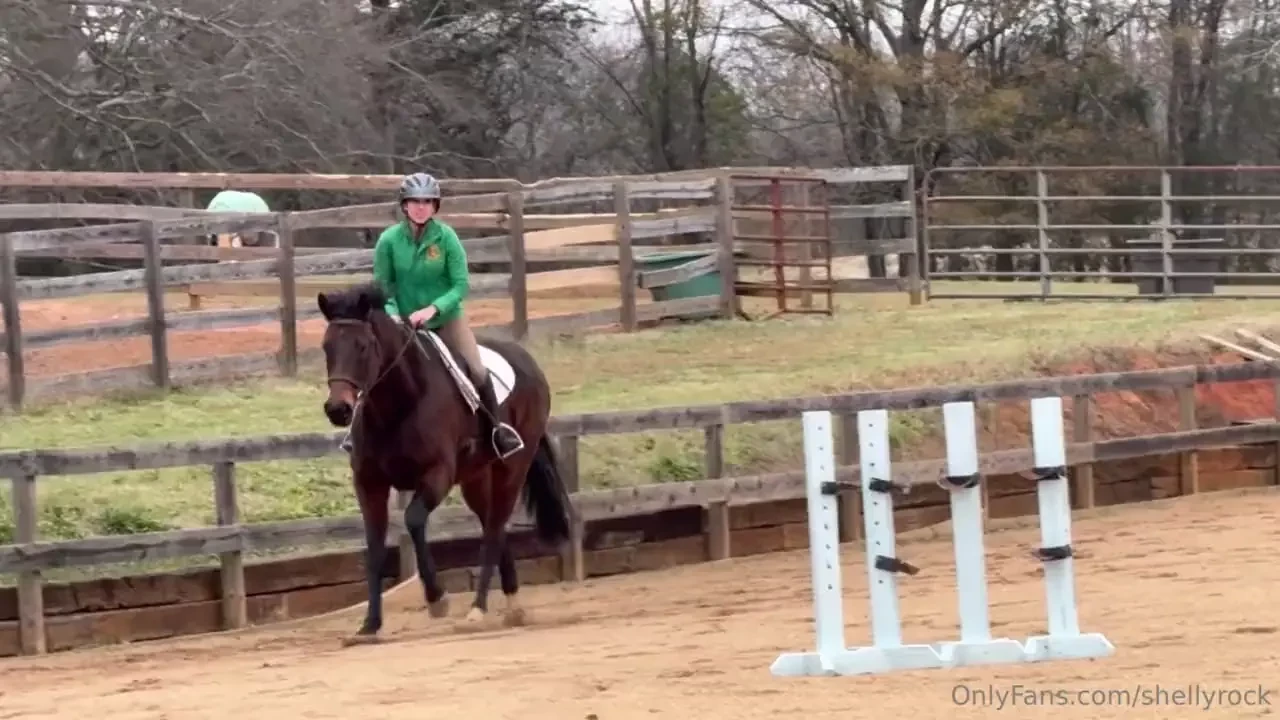 Have i shouted from the rooftops yet today how much i love my horses 