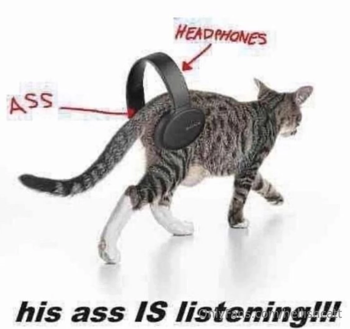 More ass content coming soon 